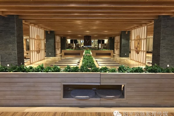 来重庆必试！多人按摩，释放全身紧绷的秘诀